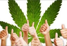 Advantages of Medical Marijuana Dispensary