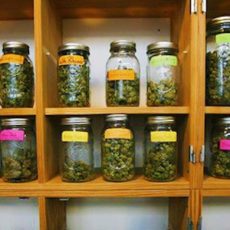 Weed Dispensaries for Medical Cannabis