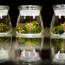 Are you Selling Medical Marijuana