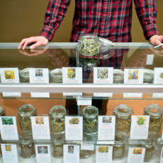 Medical Marijuana Dispensary Advantage